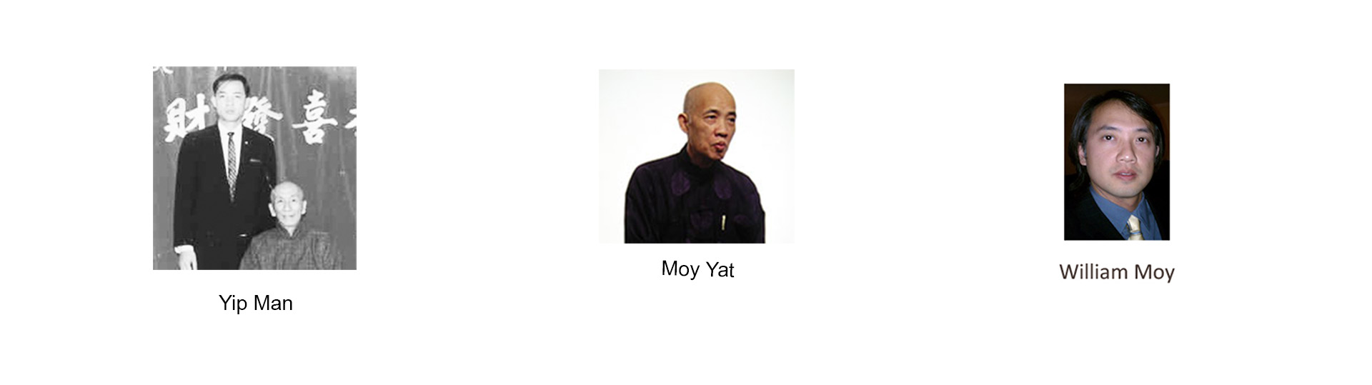 Moy Yat International Ving Tsun Kung Fu